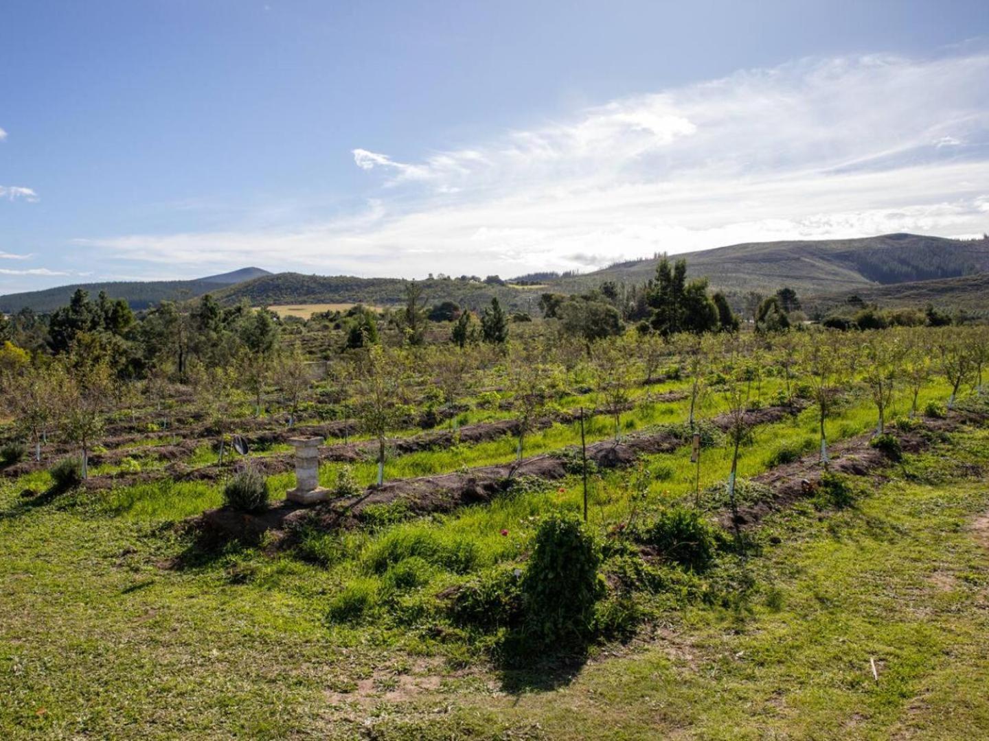 20 Good Summers Farm Stay The Crags Экстерьер фото